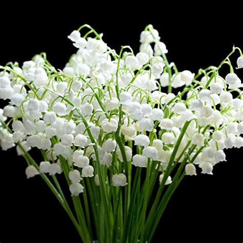 I Tested The Wonders Of Lily Of The Valley Seeds Here S What I Discovered