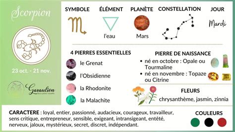 Pierres Du Scorpion Les Pierres Indispensables Pour Votre Signe