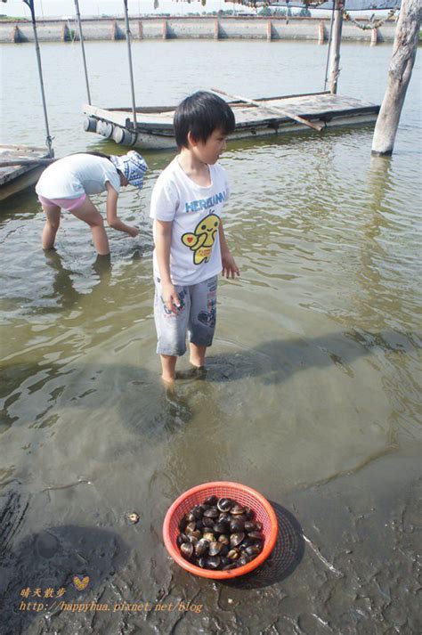 雲林口湖一日遊 親子小旅行～馬蹄蛤主題館摸蛤、划竹筏 小農夫種菜親土體驗 第一鰻波餵魚趣 成龍濕地看夕陽 還有好吃的明湖海產、烤烏魚子、麵線