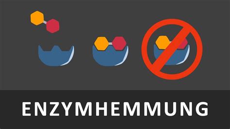 Enzymhemmnung Kompetitive Und Allosterische Hemmung Einfach Erkl Rt