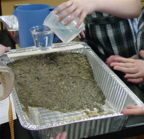 Weathering And Erosion Hands On Lab And Close Reading Activities For