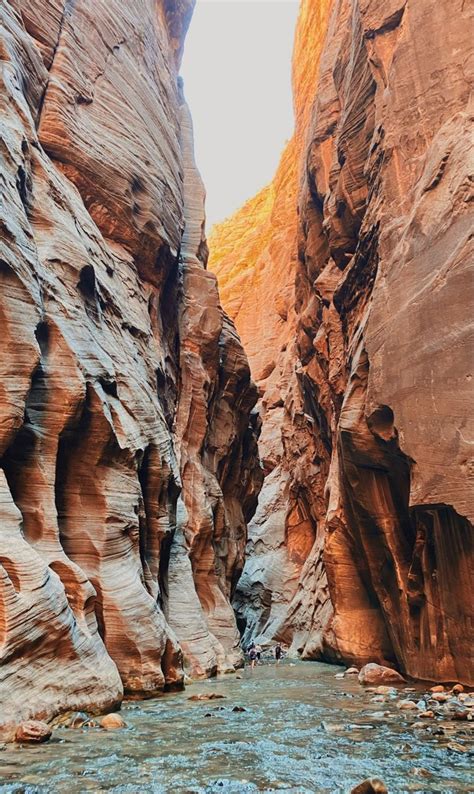 Best 12 10 Incredible Zion Hikes A Complete Guide To Hiking In Zion National Park Artofit