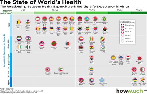 Visualizing The State Of Health Around The World