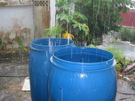 DESCUBRA CÓMO APROVECHAR EL AGUA DE LLUVIA Todo En Noticia