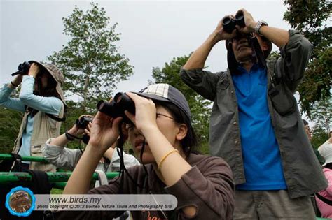 BORNEO BIRDS 4D3N Birding Tour At TABIN WILDLIFE RESERVE