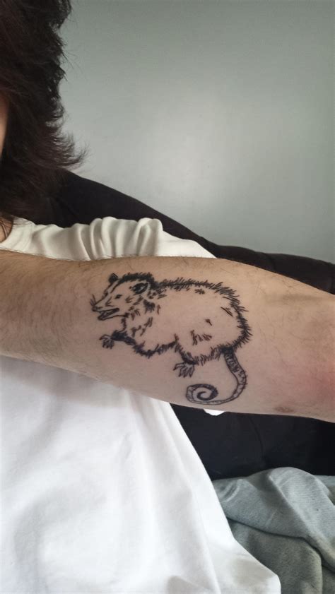 Just a tattoo of a silly little guy I got : r/Possums