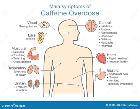 Main Symptoms of Caffeine Overdose. Stock Vector - Illustration of ...