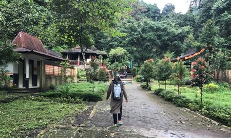 Air Terjun Madakaripura Probolinggo Atraksi Aktivitas Lokasi