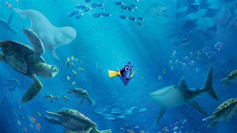 Finding Nemo Wallpapers Top Free Finding Nemo Backgrounds