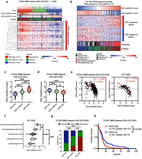 Validation Of Dgc Specific Transcriptomic Signatures In Larger Tumor