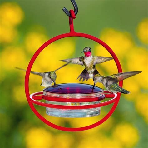 Glass Hummingbird feeder with Bee Guard