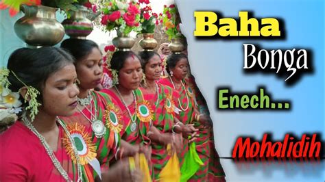 Baha Bonga Porob Santal Traditional Dance Tranding Virals YouTube