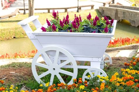 27 Wheelbarrow Planter Ideas Garden Outline