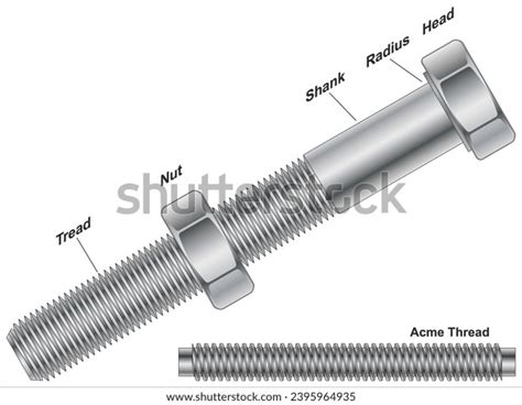 Screw Bolt Similar Types Fastener Typically Stock Vector (Royalty Free ...