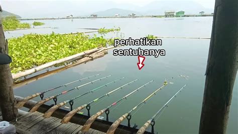 Jurus Mancing Debus Mancing Tanpa Umpan Youtube