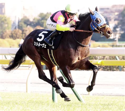 【東京11r・jcベストレース受賞記念】シュトルーヴェが上がり最速の末脚でv キング騎手「とても強い勝ち方」 スポーツ報知