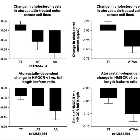 Effect Of HMGCR Rs12654264 Genotype On CRC Cell Line Cholesterol