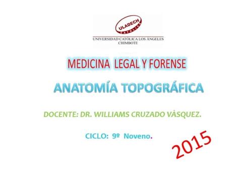 Anatomia Topografica Ppt