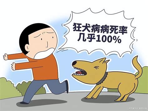 狂犬病潜伏期长达十几年是谣言千万别信99 在1年内发作 知乎