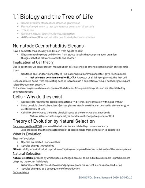 Bio M Lecture Biology And The Tree Of Life Rendis