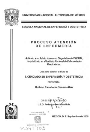 Proceso Atencion De Enfermeria Aplicado A Un Adulto Joven Con