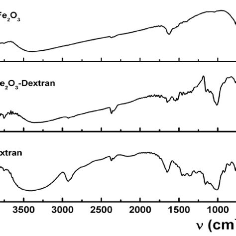 Ft Ir Spectra Of γ Fe 2 O 3 Dextran Coated γ Fe 2 O 3 And Pure Dextran Download Scientific