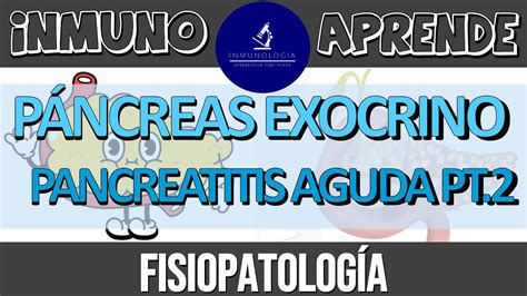 Pancreatitis Aguda Parte Diagn Stico Cl Nico Tratamiento Youtube