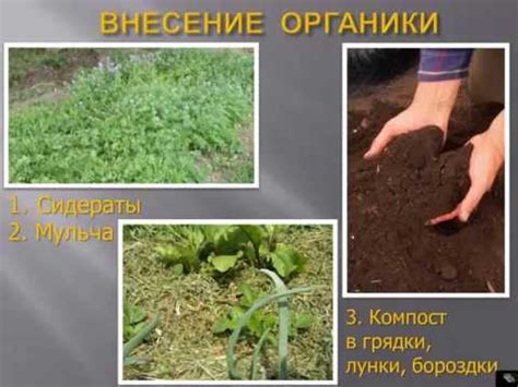 Компост - YouTube