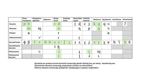 Międzynarodowy alfabet fonetyczny IPA wymowa i transkrypcja w języku