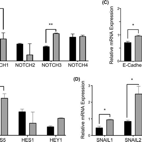 Expression Analysis Of Notch Pathway Components And Emt Markers Mrna