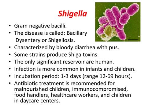 Antibiotic for gram negative bacilli uti