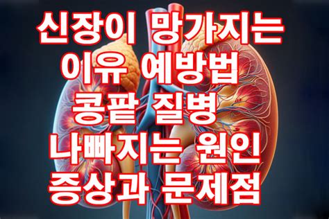 신장이 망가지는 이유 예방법 콩팥 질병 나빠지는 원인 증상과 문제점 봉봉주스의 지식 정보