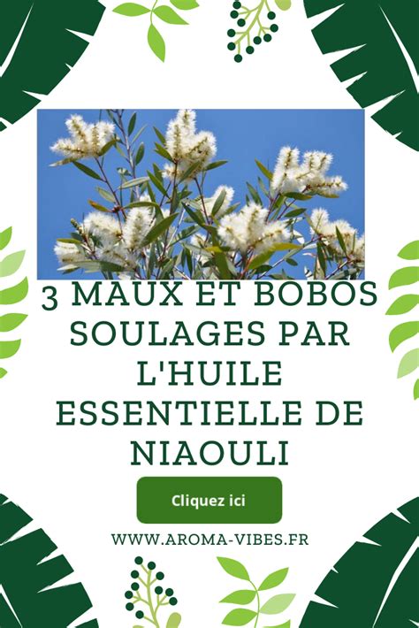 Pingl Sur Les Huiles Essentielles De A Z