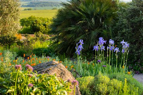 Landscaping with flowers – how to create a blooming garden | Livingetc