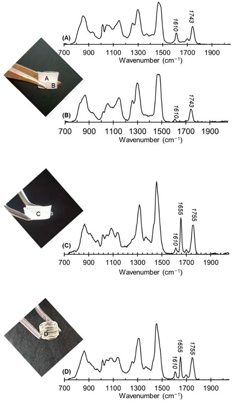 Biocompatible Semi-Interpenetrating Materials Based on Poly(3
