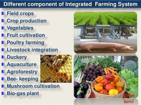 integrated farming system