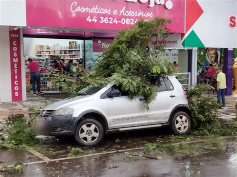 Galho cai sobre carro que estava estacionado na avenida Paraná centro