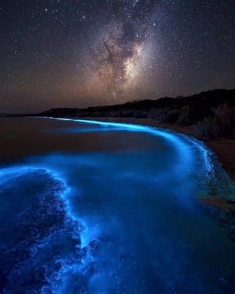 Bioluminescent algae : r/MostBeautiful