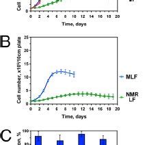 A Model Comparing Contact Inhibition In Naked Mole Rat To Mouse And
