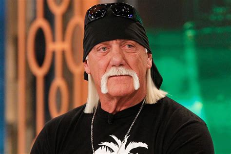 Hulk Hogan Survives Scary Plane Landing in Iceland