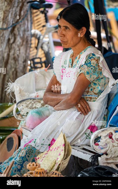 Mujer Ind Gena Zapoteca Mexicano Fotograf As E Im Genes De Alta