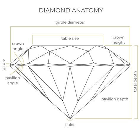 Diamond Anatomy Understanding The Basics Diamond Buzz Jewelry