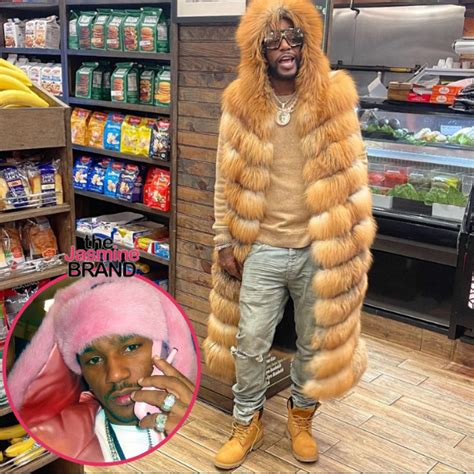 Cam’ron Sued for Using Famous Pink Fur Photo of Himself On Merch w/o ...