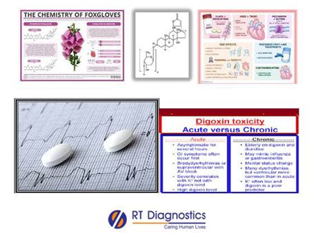 Digoxin Rt Diagnostics