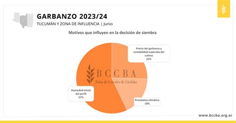 Tucumán y su zona de influencia Primera estimación de siembra de