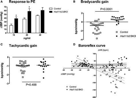 Baroreceptor reflex function. The baroreflex was measured... | Download ...