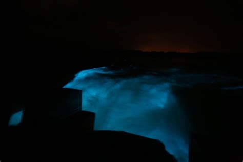 Visiting The Luminous Lagoon In Jamaica Near Montego Bay Uponarriving