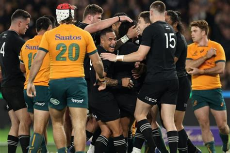 Wallabies All Blacks Bledisloe Cup 2024 Fixtures Draw