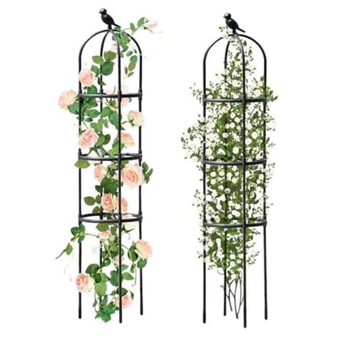 Garden Trellis For Climbing Plants Outdoor Metal Plant Trellis With Pe