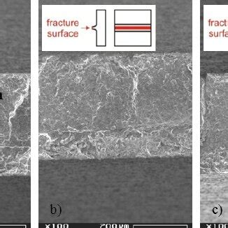 Se Images Of The Fracture Surfaces Of Three Specimens A L Mm